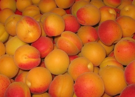 Наливка из абрикосов